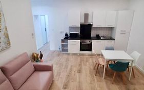 Appartement Meuble 55 M2 Avec Terrasse 35M2 Au Coeur Du Sud-Ouest